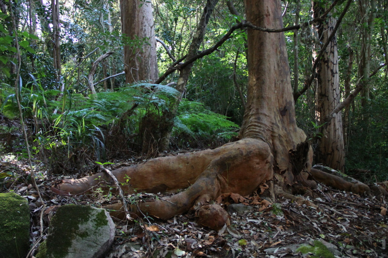 DPP_1110.JPG