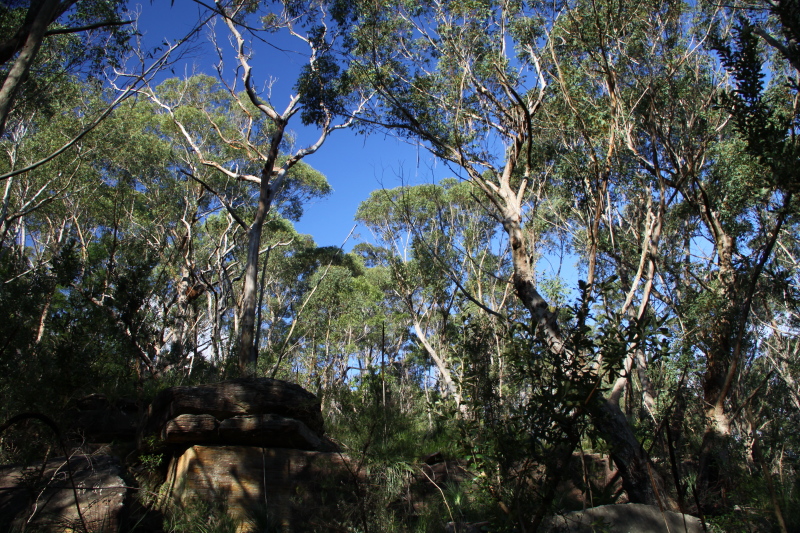DPP_1114.JPG