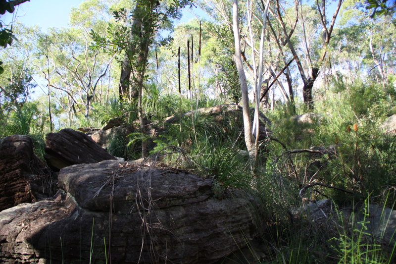 DPP_1115.JPG
