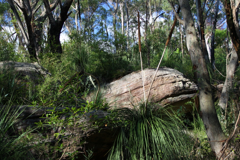 DPP_1116.JPG