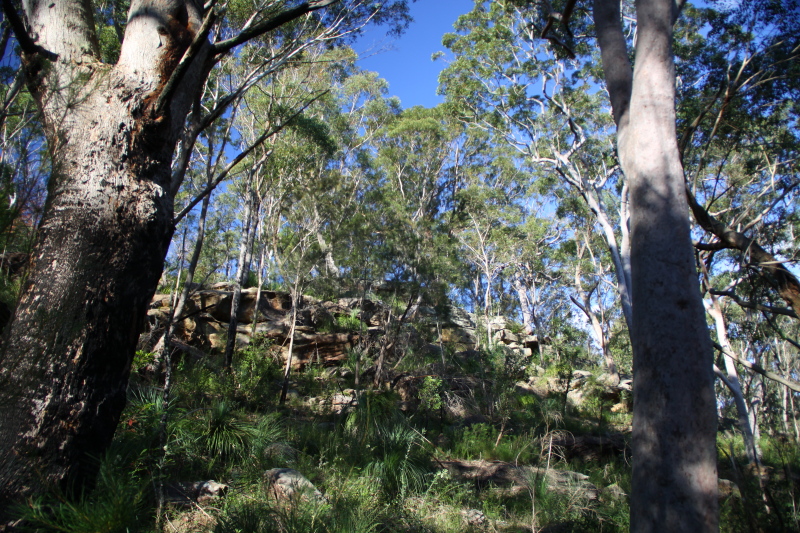 DPP_1117.JPG