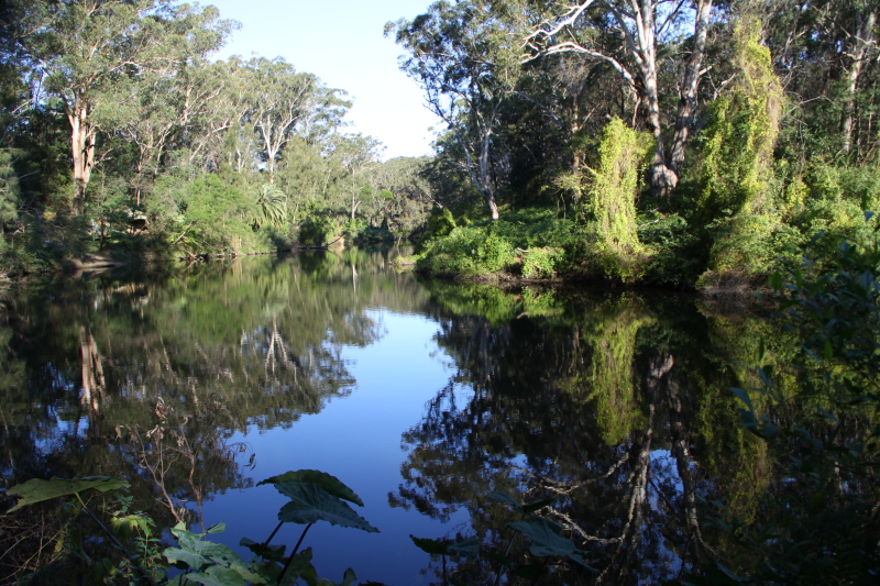 DPP_1119.JPG