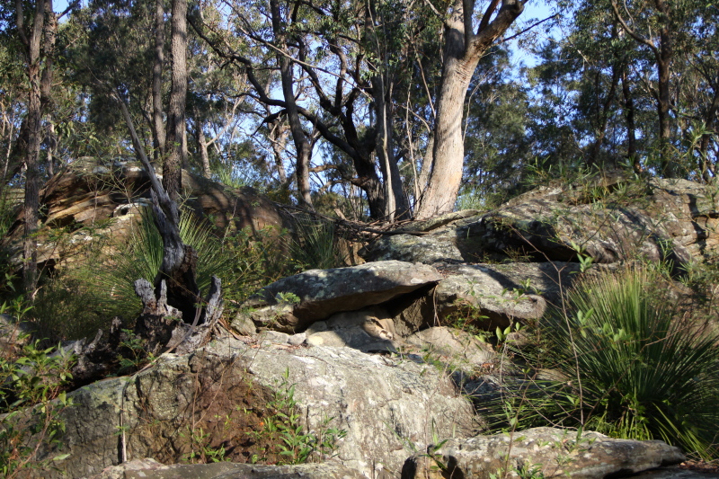 DPP_1120.JPG