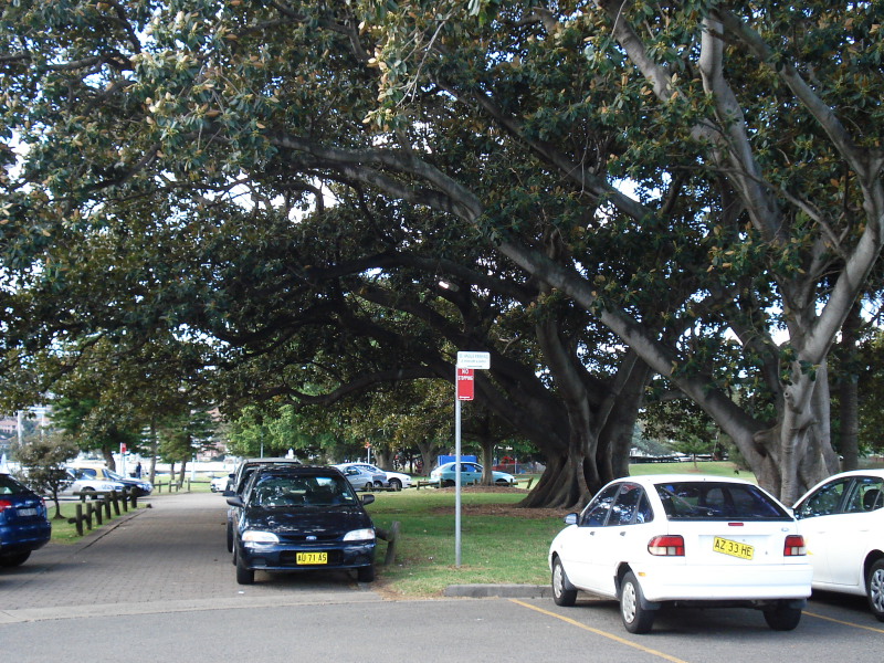 DPP_1012.JPG