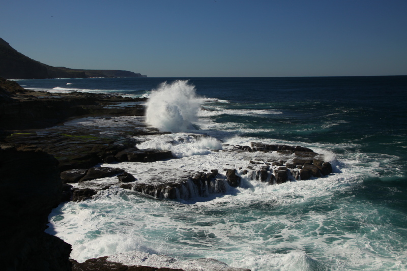 DPP_1069.JPG