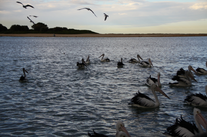 DPP_1030.JPG