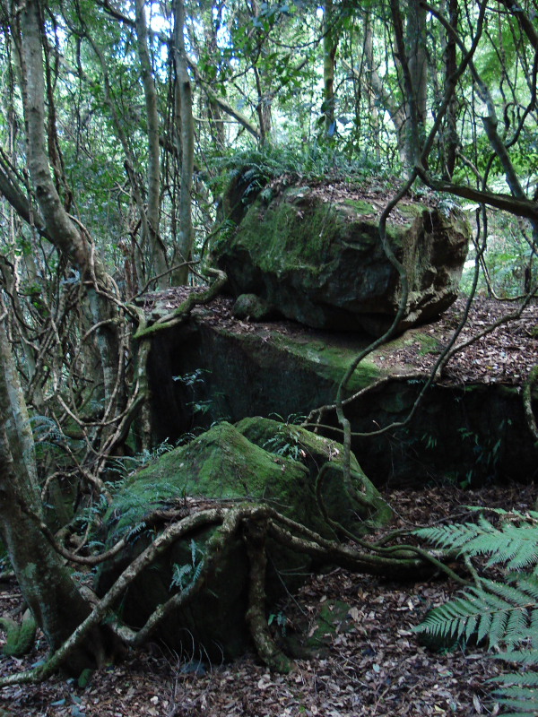 DPP_2009.JPG
