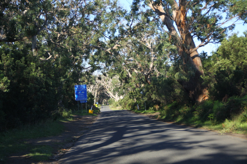 DPP_3037.JPG