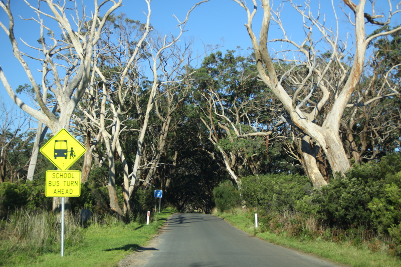 DPP_3038.JPG