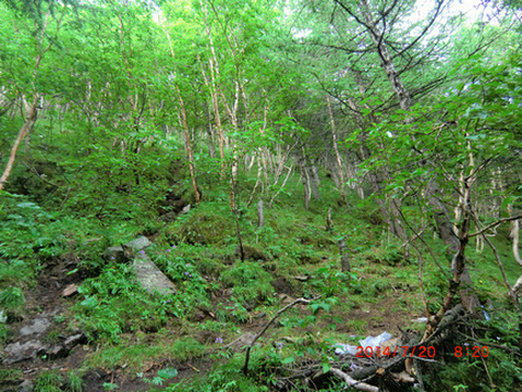 CIMG0280.jpg