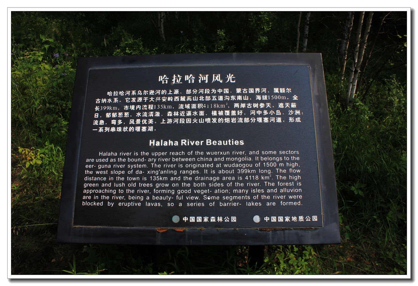 照片 1585.jpg