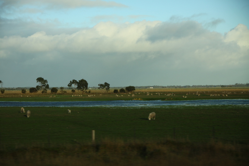 DPP_3107.JPG