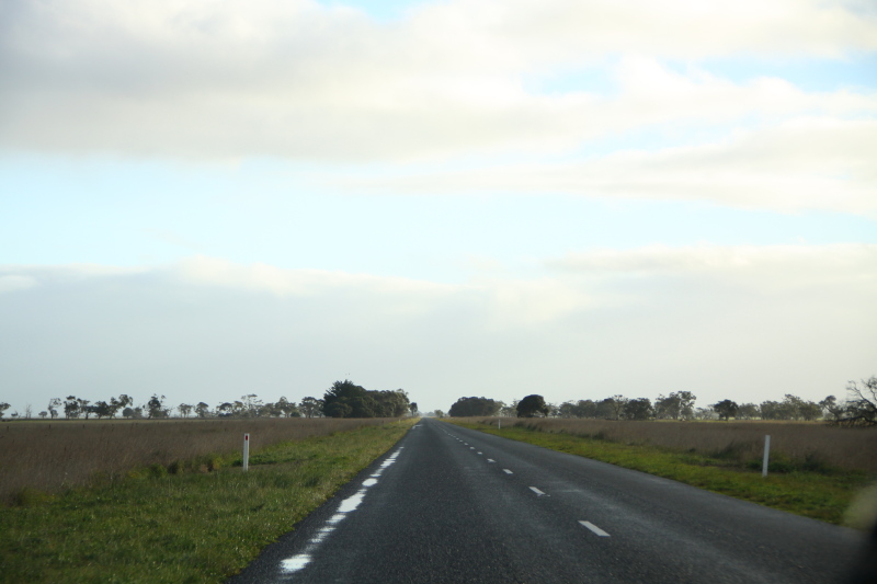 DPP_3109.JPG
