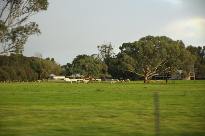 DPP_3108.JPG