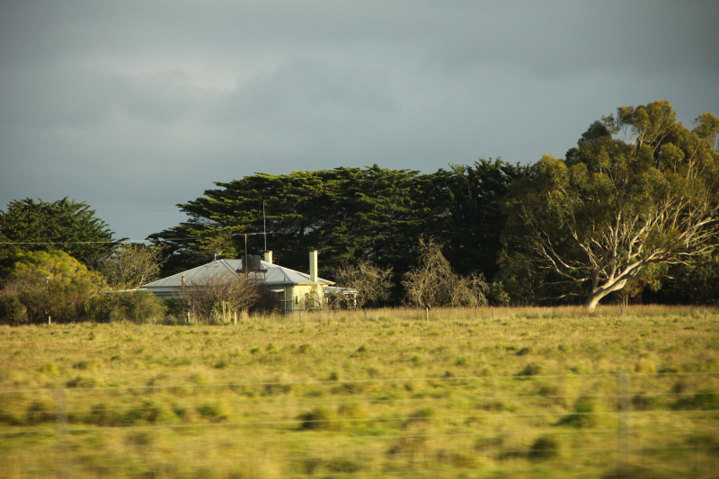 DPP_3111.JPG