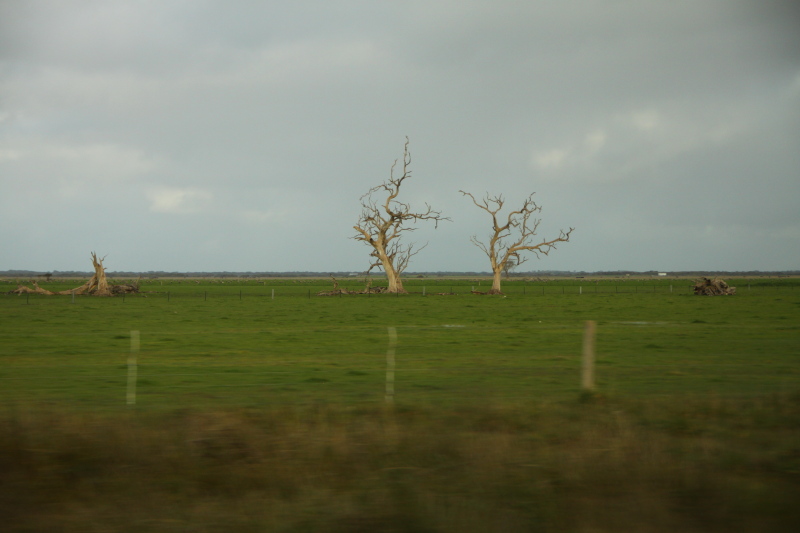 DPP_3112.JPG