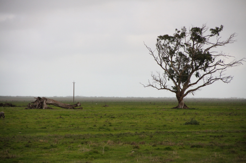 DPP_3115.JPG