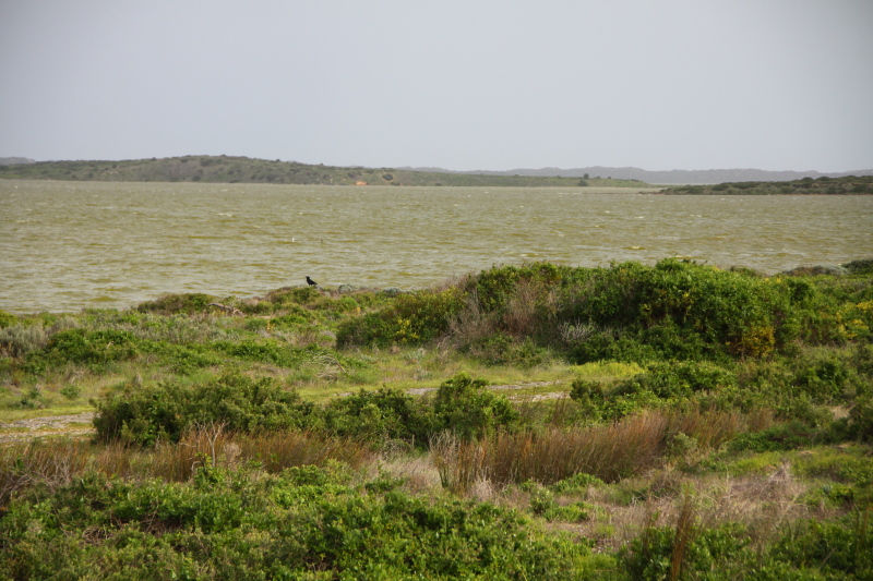DPP_3119.JPG