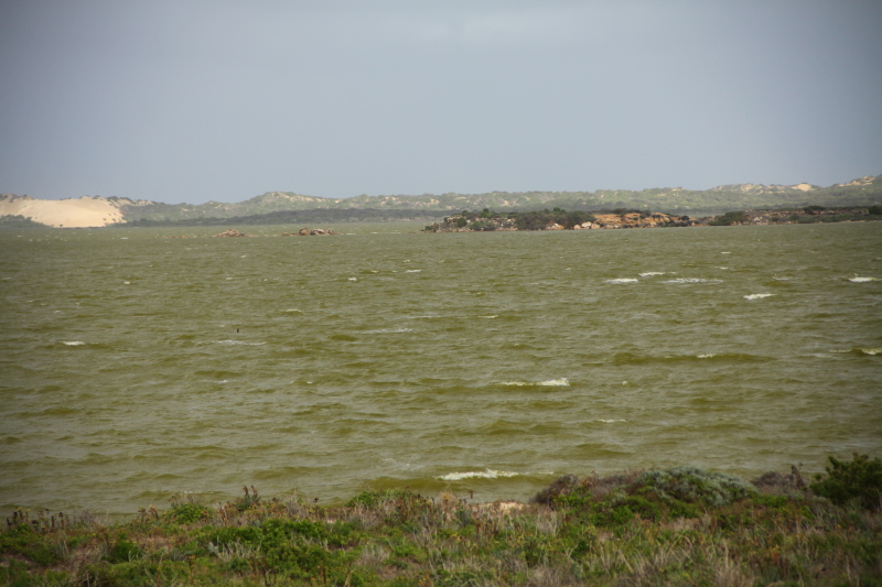 DPP_3120.JPG