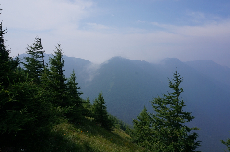 DSC00115.JPG