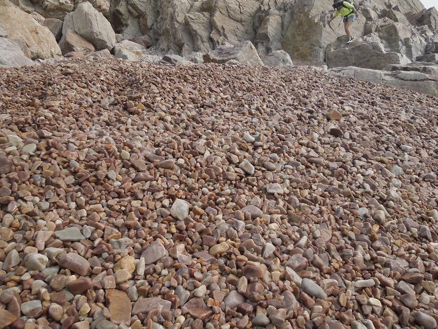 海滩的石子都是那么的均匀.jpg