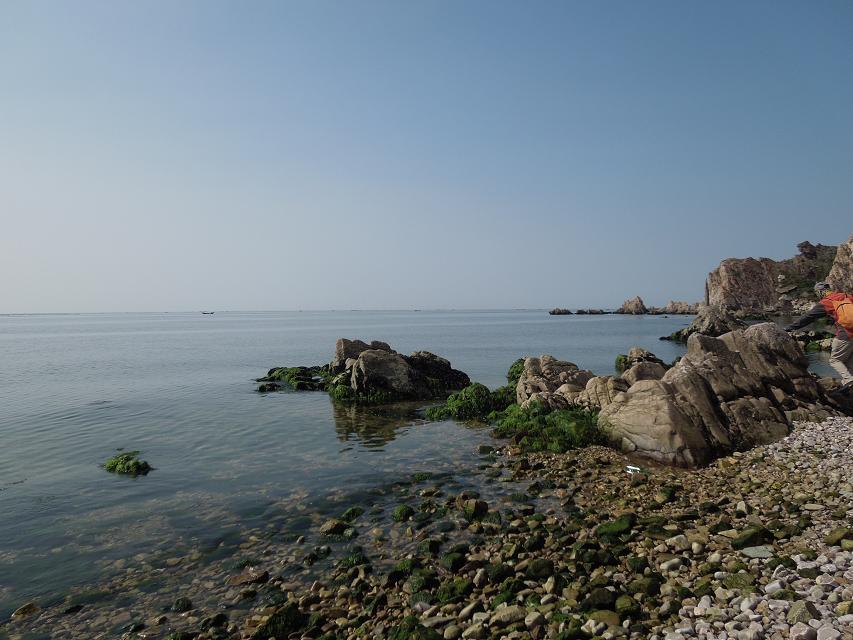 清澈的海滩.jpg