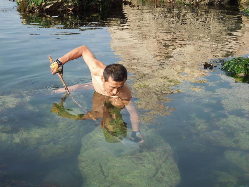 水里东东清晰.jpg