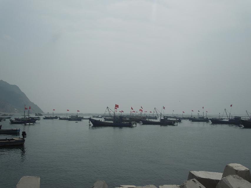 休渔期靠港的渔船.jpg