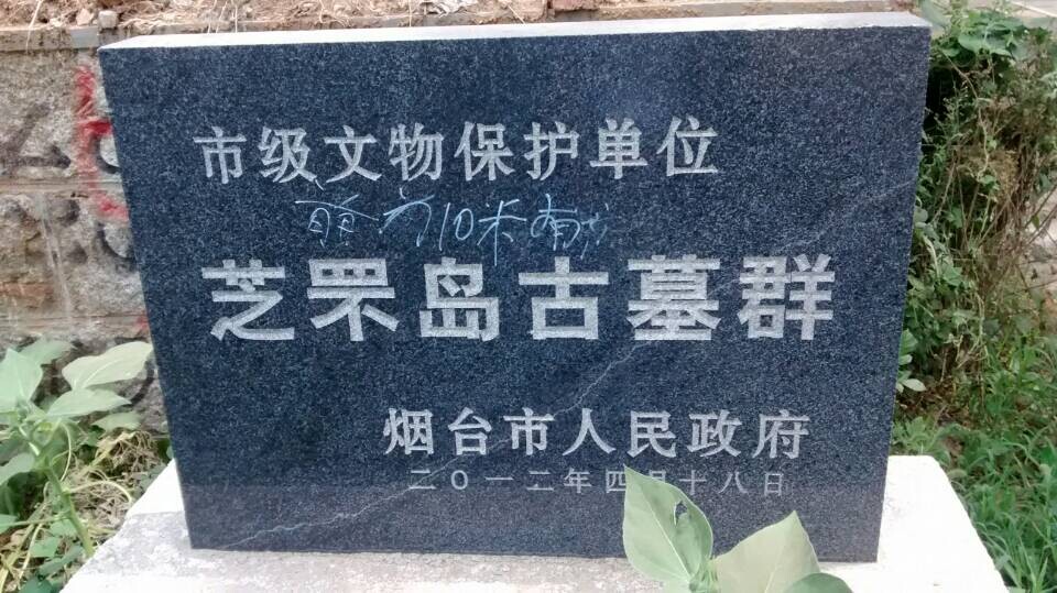 QQ图片20140817143444.jpg
