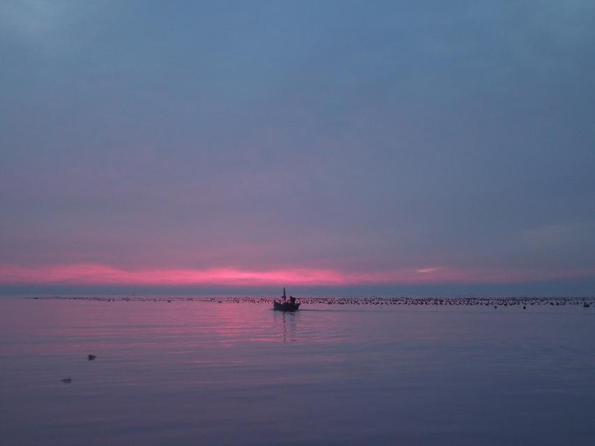 7早上赶海.jpg