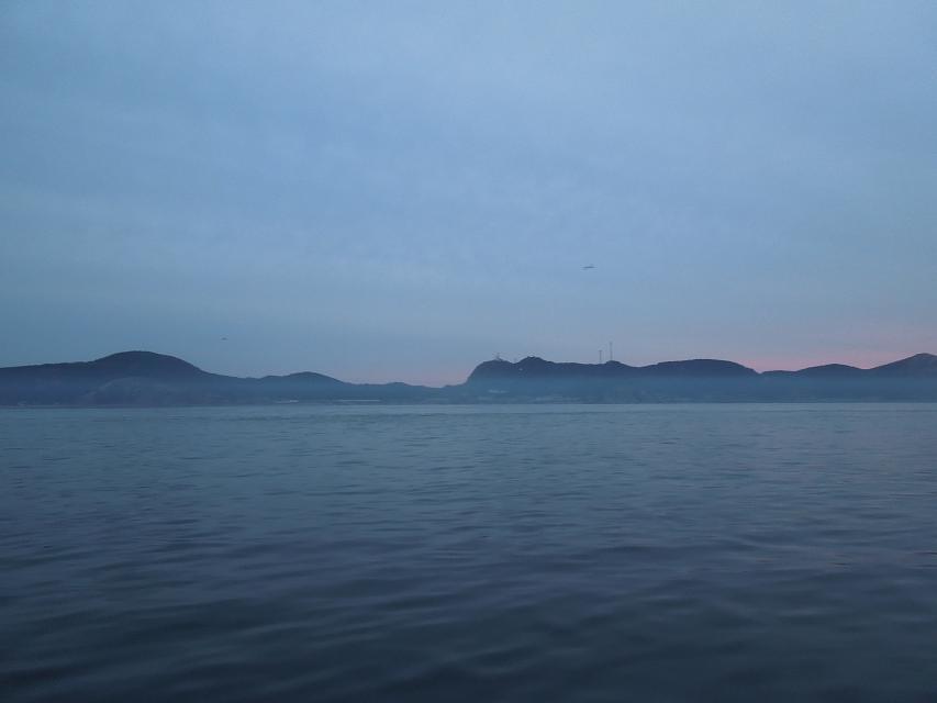 7早上赶海 (4).jpg