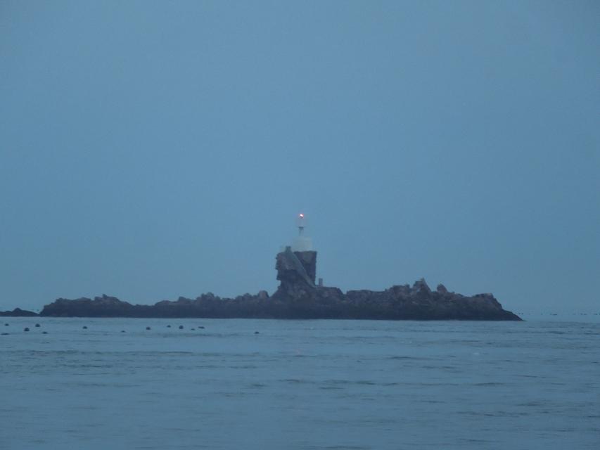 7早上赶海 (7).jpg