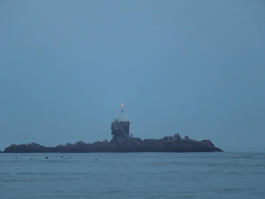 7早上赶海 (8).jpg