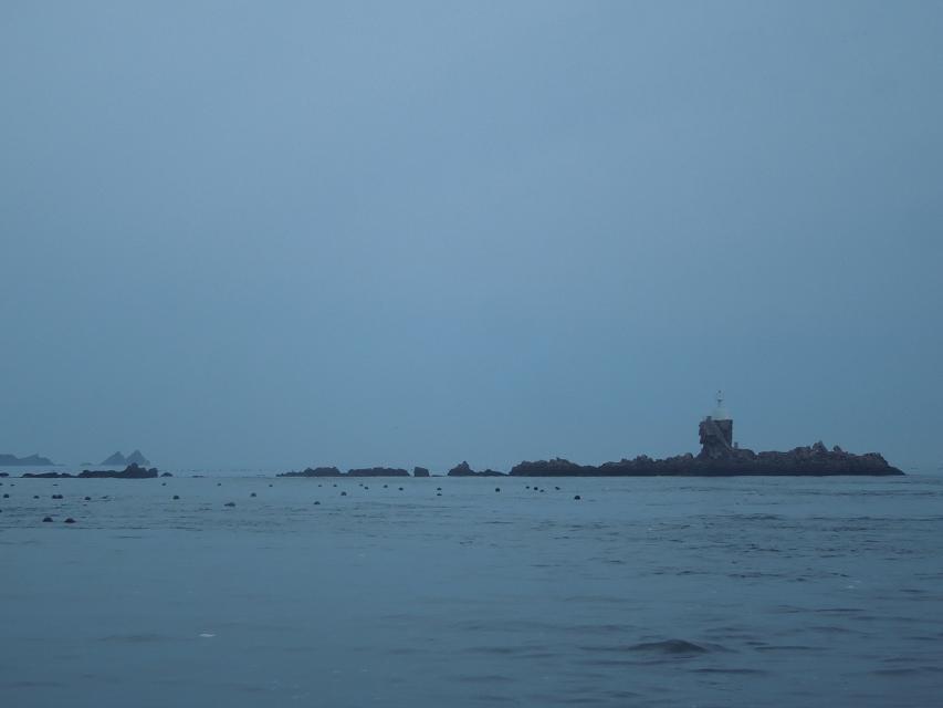 7早上赶海 (9).jpg
