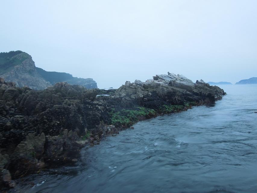 7早上赶海 (12).jpg