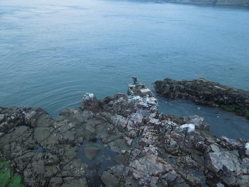 7早上赶海 (18).jpg