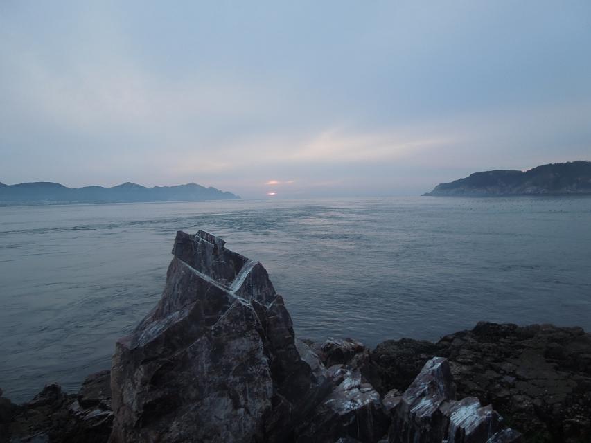 7早上赶海 (20).jpg