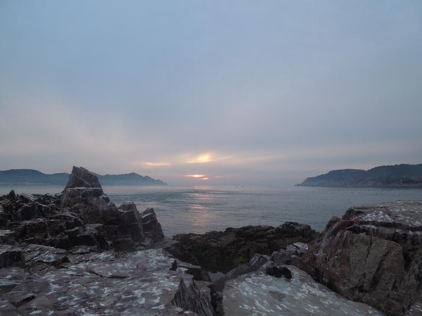 7早上赶海 (21).jpg