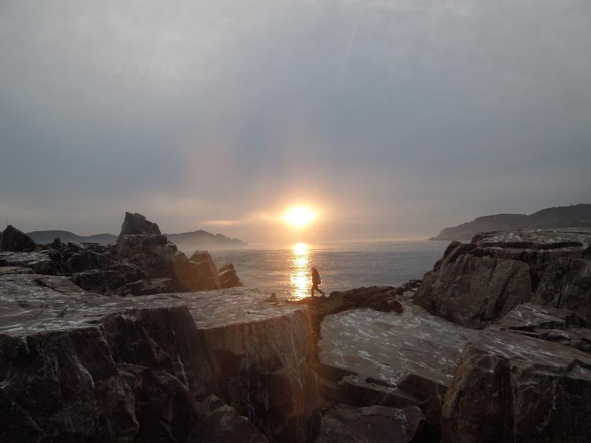 7早上赶海 (22).jpg