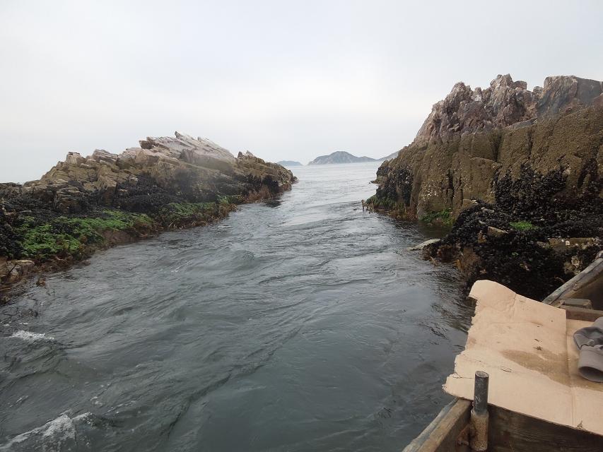 7早上赶海 (35).jpg