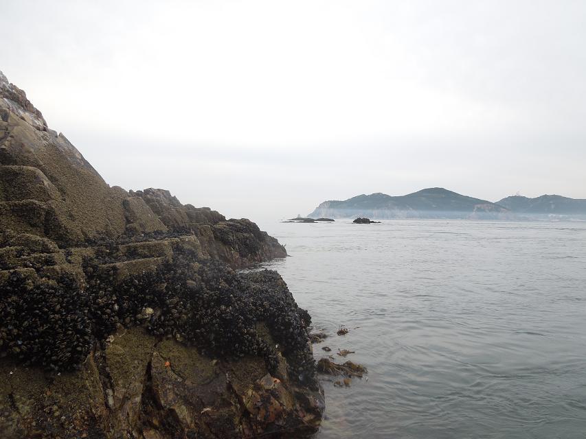 7早上赶海 (36).jpg