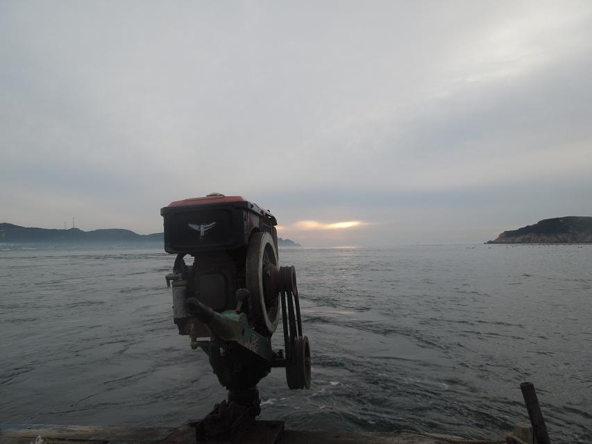 7早上赶海 (37).jpg