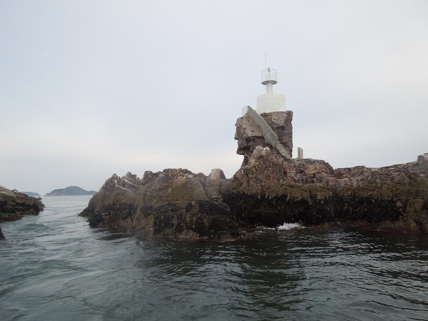 7早上赶海 (39).jpg