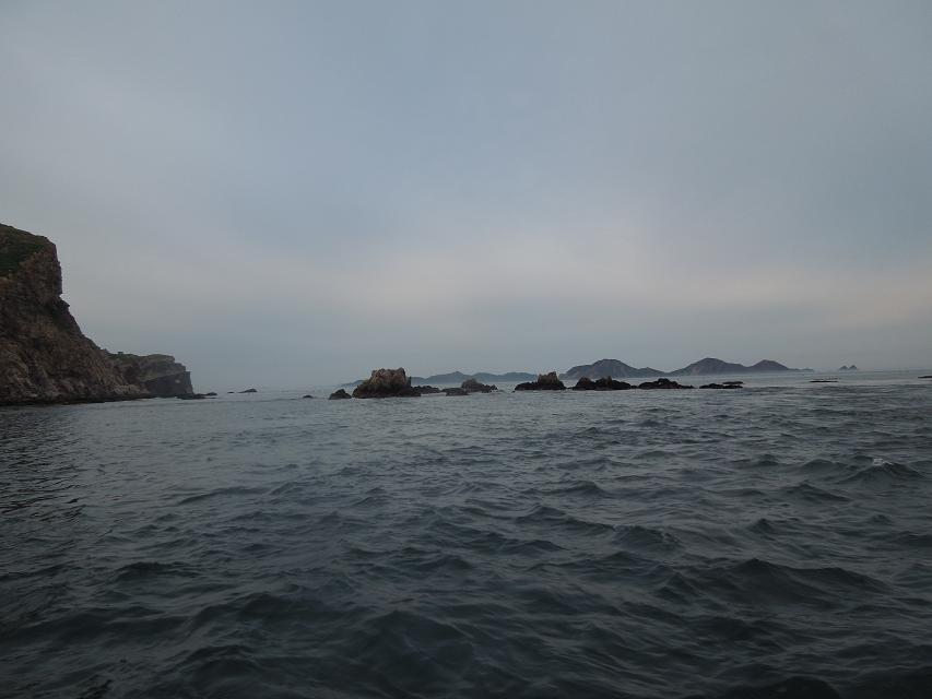 7早上赶海 (42).jpg