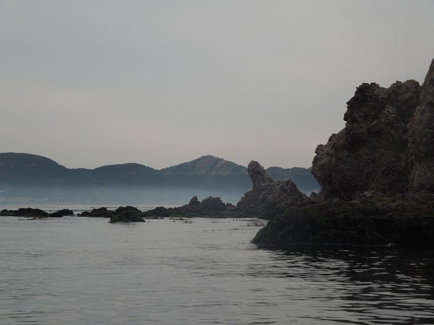 7早上赶海 (45).jpg
