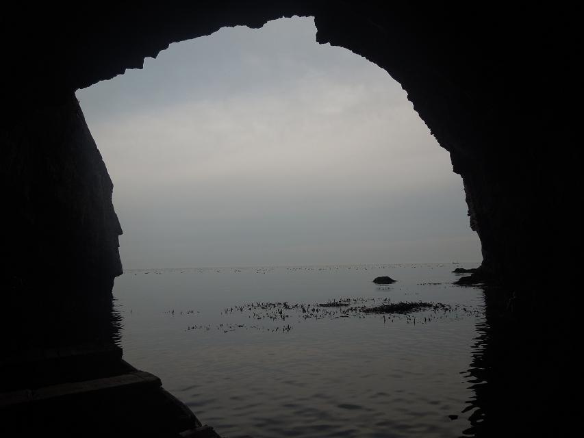 7早上赶海 (54).jpg