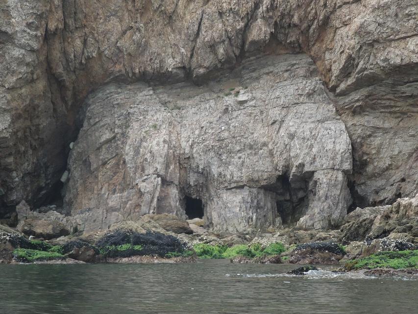 7早上赶海 (59).jpg
