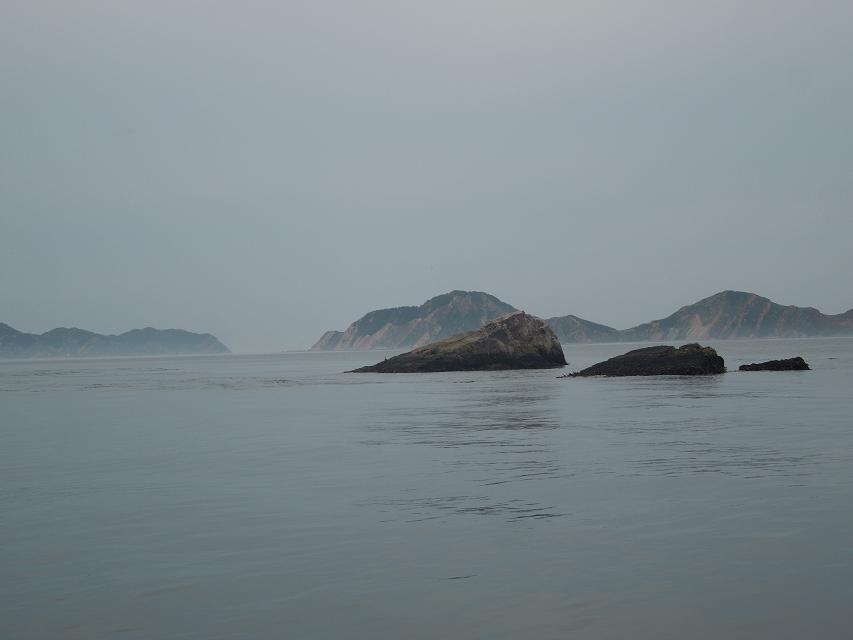 7早上赶海 (60).jpg