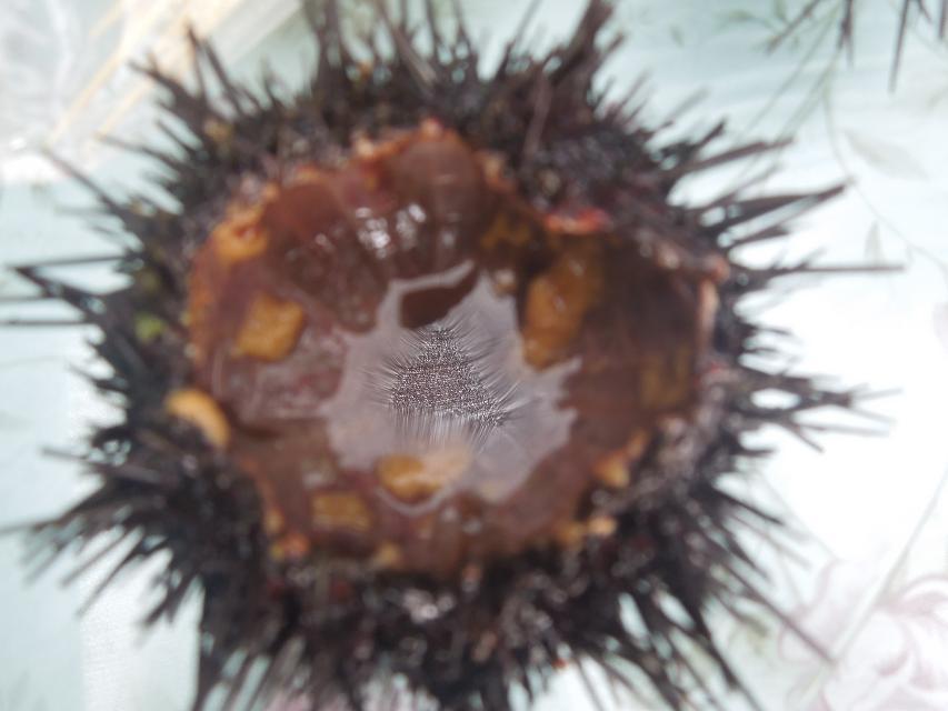 9午餐 (2).jpg