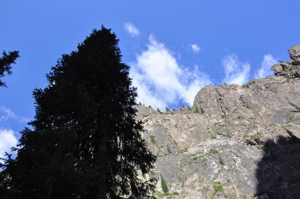 DSC_0359.JPG